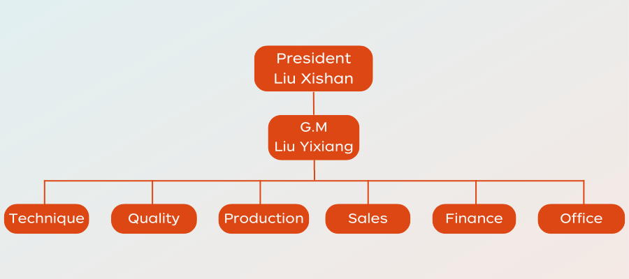 organizational structure